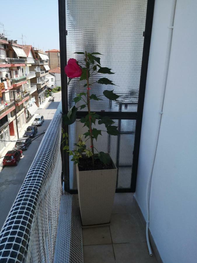 Alexandros Apartment Aridaía Екстериор снимка