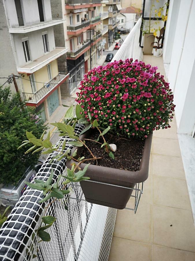 Alexandros Apartment Aridaía Екстериор снимка